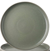10.5" Reactive Matte Dinner Plate