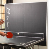 Portable Ping Pong Table