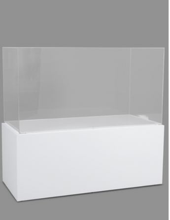 White Display Case