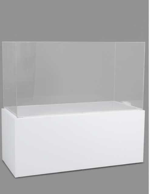 White Display Case