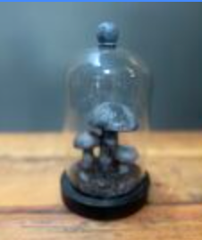 Mushrooms Figurine In Glass Cloche