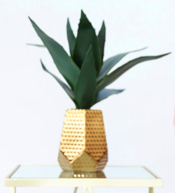 Geometric Plant Accent Piece