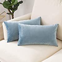 Light Blue Velvet Accent Pillow