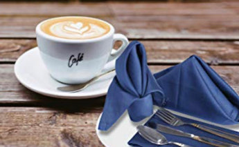 Indigo Blue Polyester Napkins
