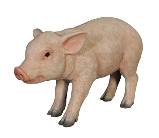 New Born Pig Life Size Statue