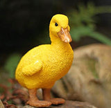 Mini Duck Figurine