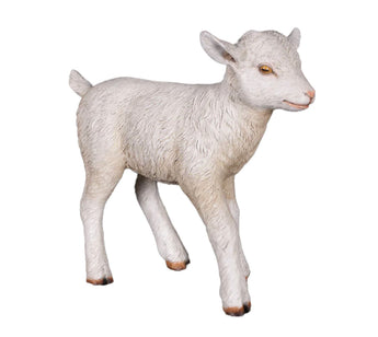 Baby Goat Life Size Statue